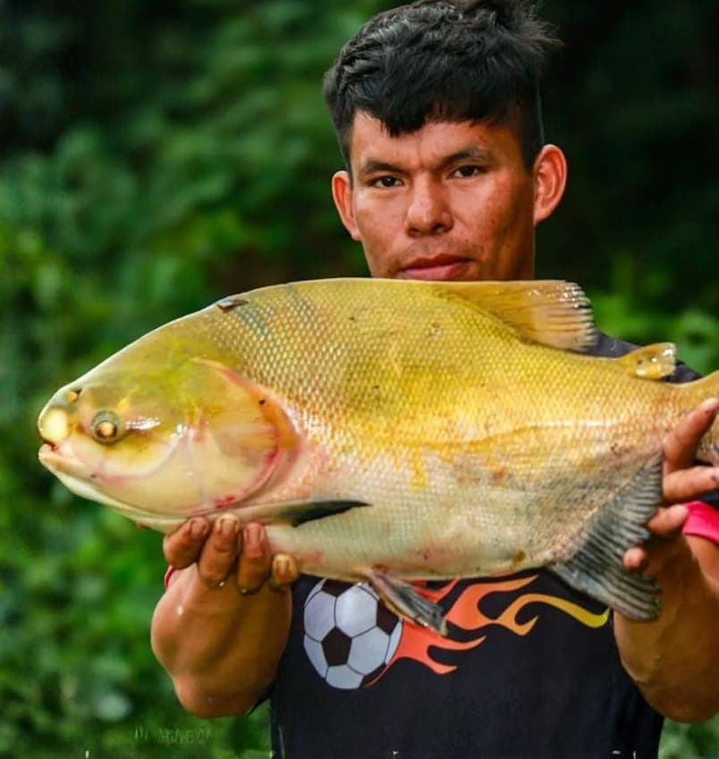 Pesca